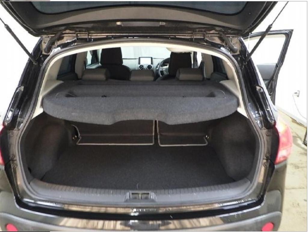 NISSAN DUALIS
